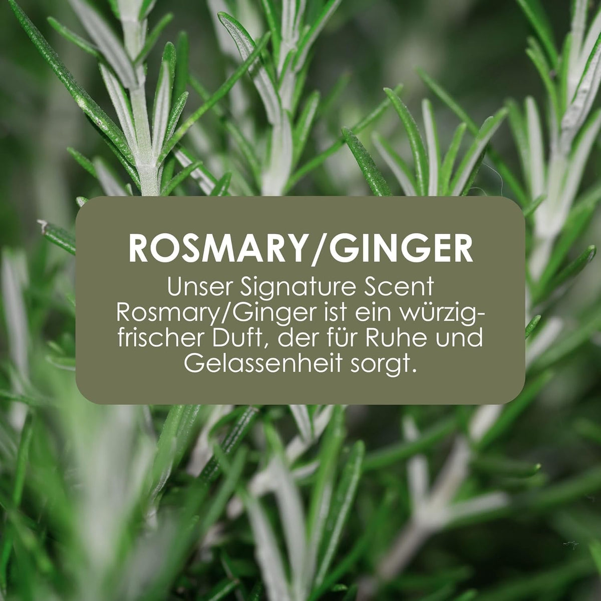 Jean & Len Hand & Body Wash Rosemary Und Ginger, Nachfüllbeutel, 1,5L